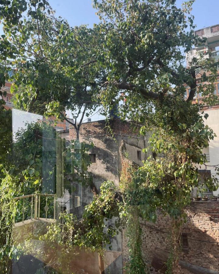 Rooftop Studio And 2Bhk Apartments In Kathmandu'S Most Happening Place Εξωτερικό φωτογραφία